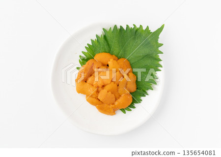 Delicious raw sea urchin served on a plate on a white background 135654081