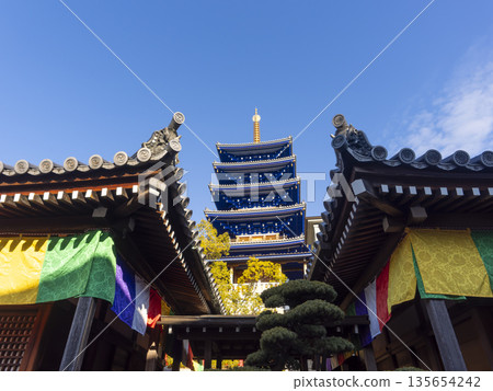 從下方看到的中山寺五重塔 從下方看到的中山寺五重塔 135654242