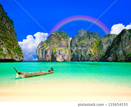 Beautiful coral reefs in Maya Bay, Phi Phi Islands 135654535