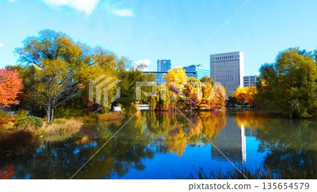 中島公園：深秋時節的壯麗景色 135654579