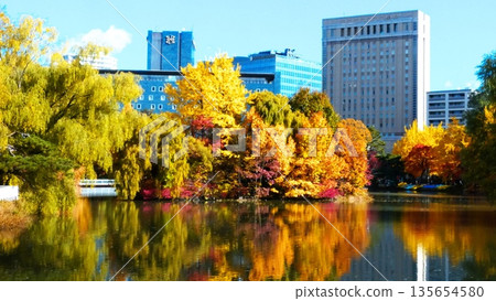 Nakajima Park: A spectacular view in late autumn Nakajima Park: A spectacular view in late autumn 135654580