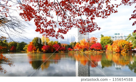 中島公園:深秋時節的壯麗景色 中島公園:深秋時節的壯麗景色 135654588
