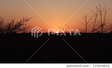 Sunrise Sunrise 135654619