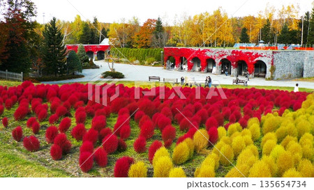 Yuni Garden Kokia 135654734