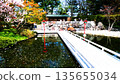 Popular Chinese Garden 135655034