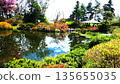 Popular Chinese Garden 135655035