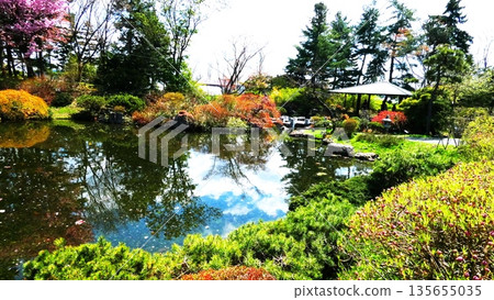 Popular Chinese Garden 135655035