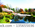 Popular Chinese Garden 135655036
