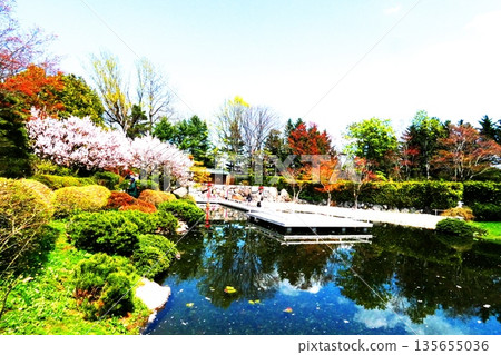 Popular Chinese Garden Popular Chinese Garden 135655036