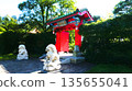 Popular Chinese Garden 135655041