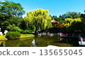 Popular Chinese Garden 135655045