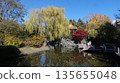 Popular Chinese Garden 135655048