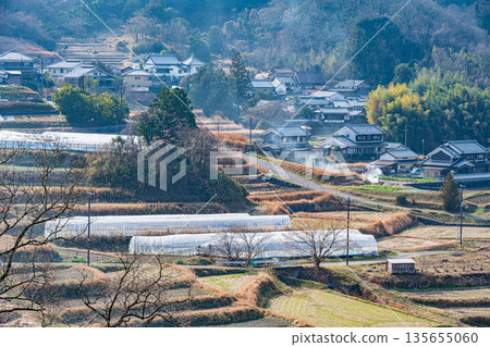 奈良縣飛鳥村的冬季梯田 135655060