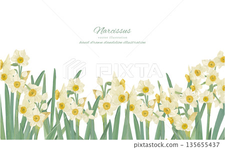 水彩水仙花背景邊框插圖 135655437