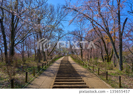 從櫻花盛開的馬場道廣場（小寶山公園）出發，沿著緩坡拾級而上，即可抵達權現山展望台。 135655457