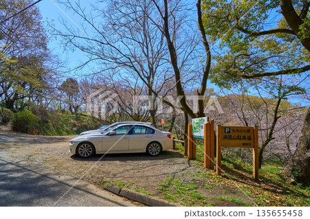 春天，神奈川縣羽田野市淺間山停車場（小寶山公園）的櫻花花蕾綻放。 135655458