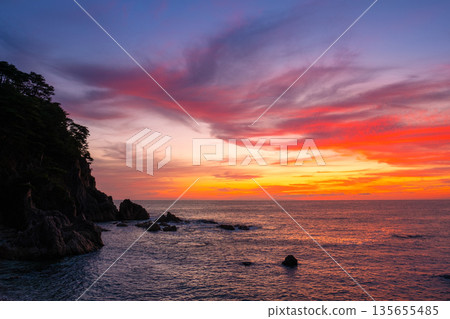 笹川流/夜景 笹川流/夜景 135655485