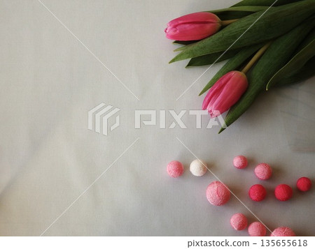 鬱金香與縐紗球：春天的聲音 135655618