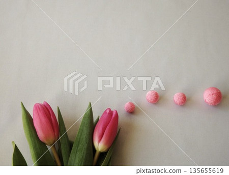 Spring pink tulips 135655619