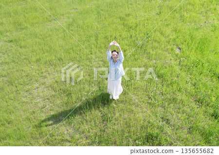 Aerial view of a woman stretching in a field 135655682