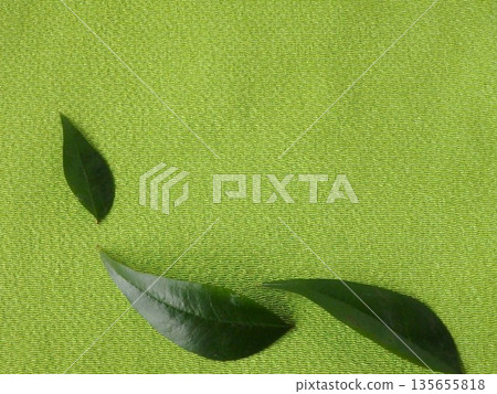 Chirimen fabric and nandina leaves 135655818