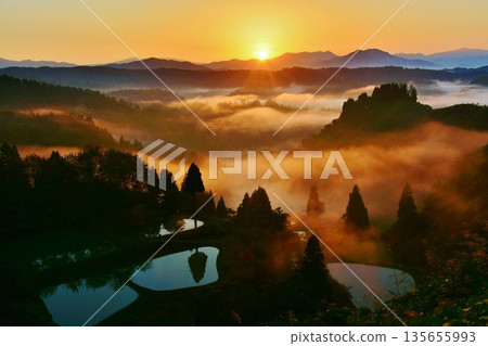 Yamakoshi rice terraces and terraced ponds with a sea of clouds at dawn Yamakoshi rice terraces and terraced ponds with a sea of clouds at dawn 135655993