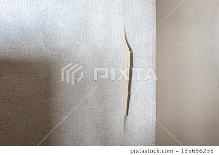 撕破的牆紙特寫。房屋受損破損。 135656235