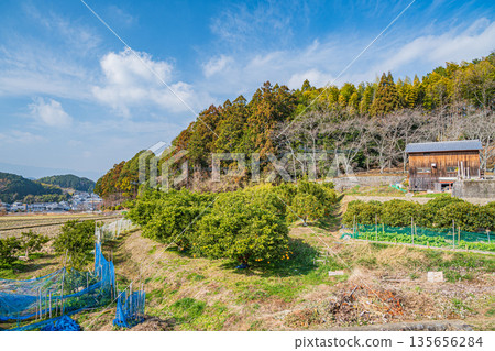 Winter orchard, Asuka Village, Nara Prefecture Winter orchard, Asuka Village, Nara Prefecture 135656284