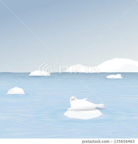 Seal on ice floe with coastal and iceberg behind vector illustration. Snow landscape concept have blank space. 135656463