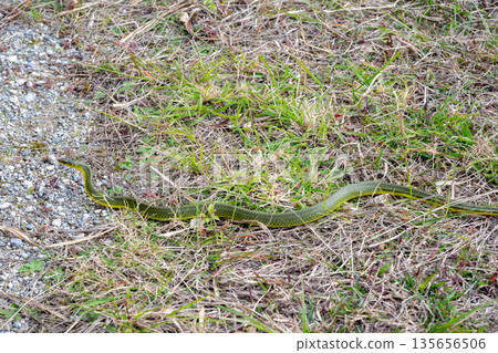 A very beautiful landscape of Minna Island in Okinawa Prefecture, Japan A very beautiful landscape of Minna Island in Okinawa Prefecture, Japan 135656506
