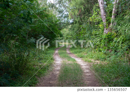 A very beautiful landscape of Minna Island in Okinawa Prefecture, Japan A very beautiful landscape of Minna Island in Okinawa Prefecture, Japan 135656507