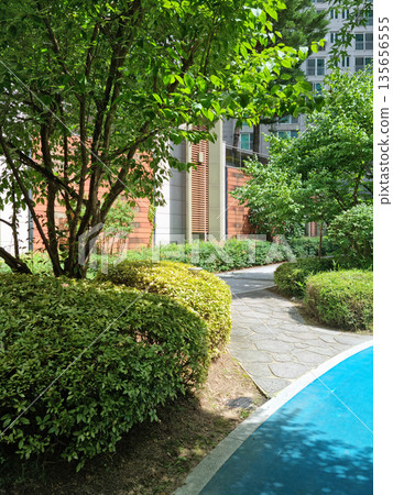 This is landscaping within an apartment complex. This is landscaping within an apartment complex. 135656555