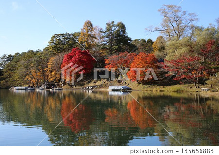 Autumn foliage at Lake Bishamon in the Goshikinuma Lake Group 135656883