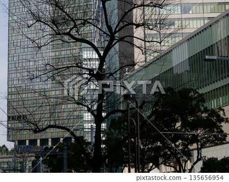 Transformation of the city: Buildings around Nagoya Station, Nagoya City, Aichi Prefecture 135656954