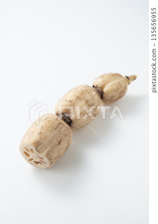 lotus root 135656955