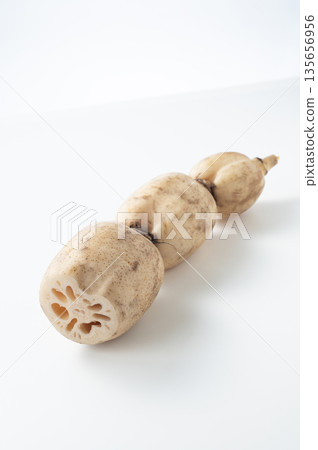 lotus root 135656956
