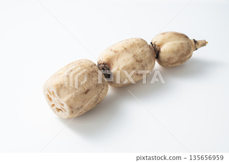 lotus root 135656959