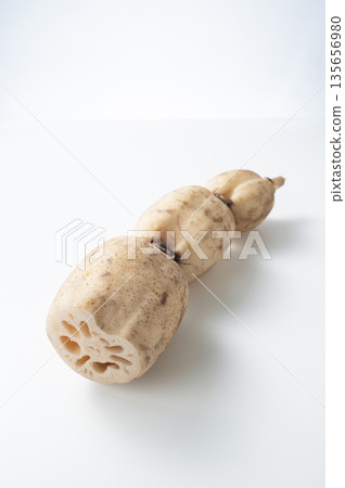 蓮藕 蓮藕 135656980
