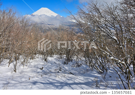 Mount Echizen in the Ashitaka Mountains: Mount Fuji in the dead of winter as seen from the snowy Fujimidai platform Mount Echizen in the Ashitaka Mountains: Mount Fuji in the dead of winter as seen from the snowy Fujimidai platform 135657081