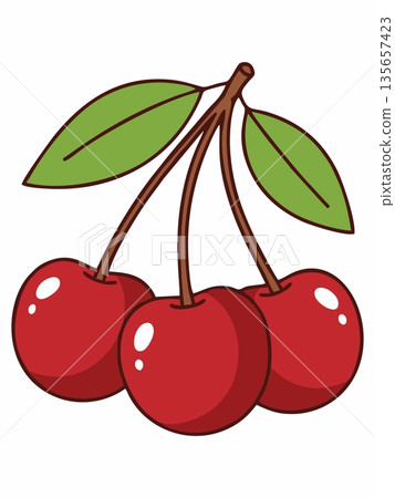 Vector illustration of fresh red cherry fruit with green leaves. 135657423
