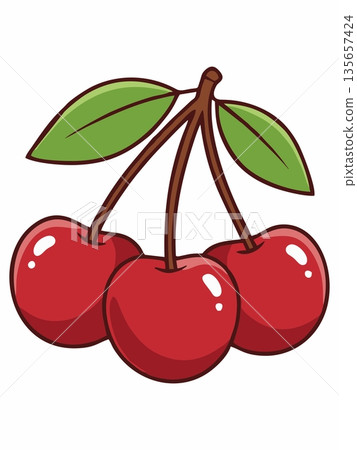 Vector illustration of fresh red cherry fruit with green leaves. 135657424