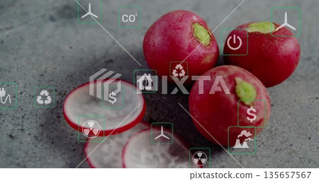Displaying red radishes and slices on kitchen counter, featuring wind turbine recycle and CO? icons 135657567