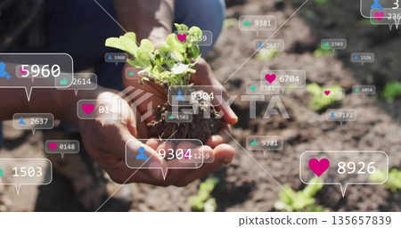 Holding hands wearing blue work shirt cradling seedling in garden bed, floating social media icons Holding hands wearing blue work shirt cradling seedling in garden bed, floating social media icons 135657839