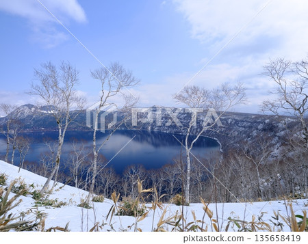 View of Lake Mashu over the remaining snow-covered birch trees from Lake Mashu No. 1 Observation Deck View of Lake Mashu over the remaining snow-covered birch trees from Lake Mashu No. 1 Observation Deck 135658419