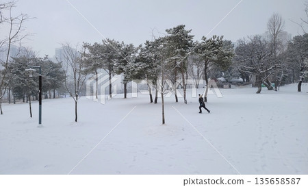 Happy Boy Walking in Snowy Urban Park Happy Boy Walking in Snowy Urban Park 135658587