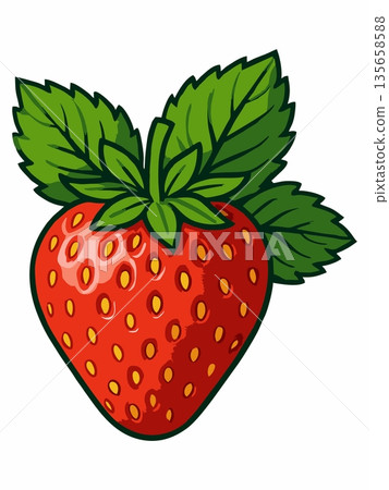 Fresh Red Strawberry Cartoon Illustration 135658588