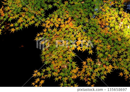 秋天風景在日本 135658697