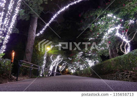 Illuminations on the steep slope of Mikaeri-zaka at Marugame Castle (Marugame City, Kagawa Prefecture) 135658713