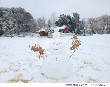 Small Handmade Snowman with Twig Arms Standing on a Snowy Surface, Small Handmade Snowman with Twig Arms Standing on a Snowy Surface, 135658775