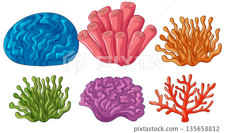Collection of Colorful Underwater Coral Reef and Sea Anemone Vector Illustrations Collection of Colorful Underwater Coral Reef and Sea Anemone Vector Illustrations 135658812